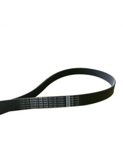 3 SİLİNDİR E CAPRA KAYIŞ